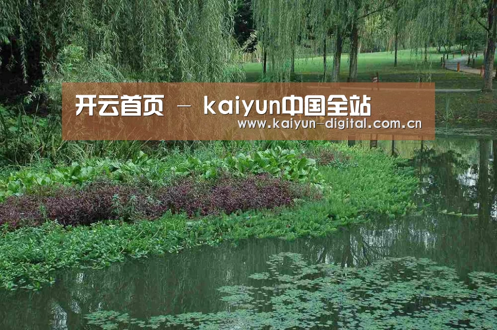 案例展示一(图1)