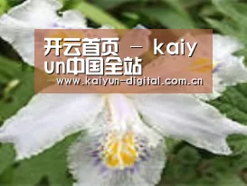 产品名称二