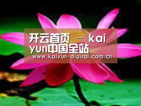 产品名称五