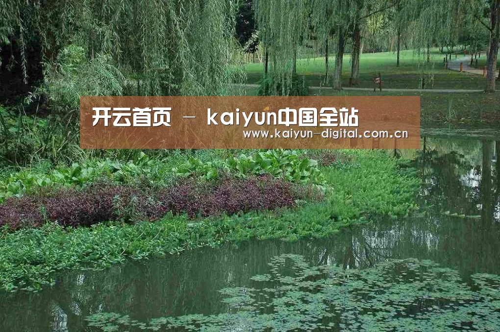 案例展示一