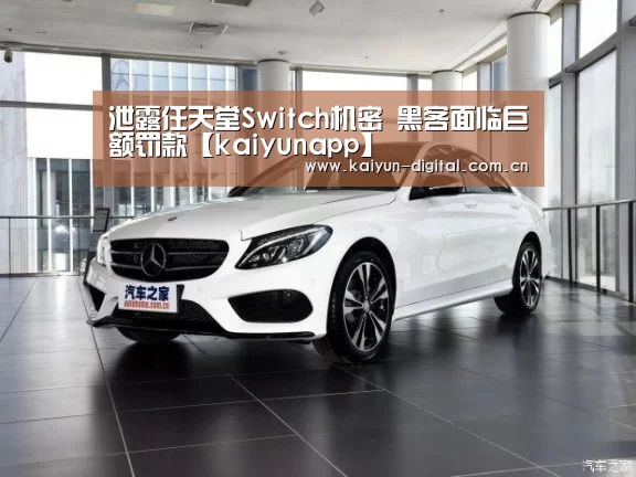 泄露任天堂Switch机密 黑客面临巨额罚款【kaiyunapp】(图2) kaiyun官网