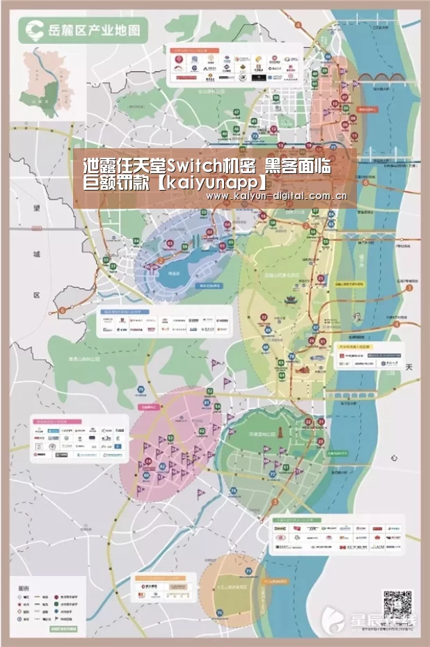泄露任天堂Switch机密 黑客面临巨额罚款【kaiyunapp】(图3) kaiyun官网